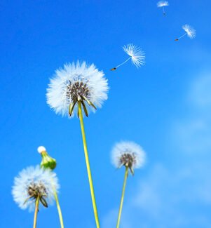let go of past